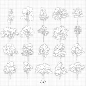 OUTLINED TREES - GO